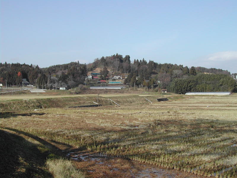 南からの遠景　　裏側右が花泉運動公園である。