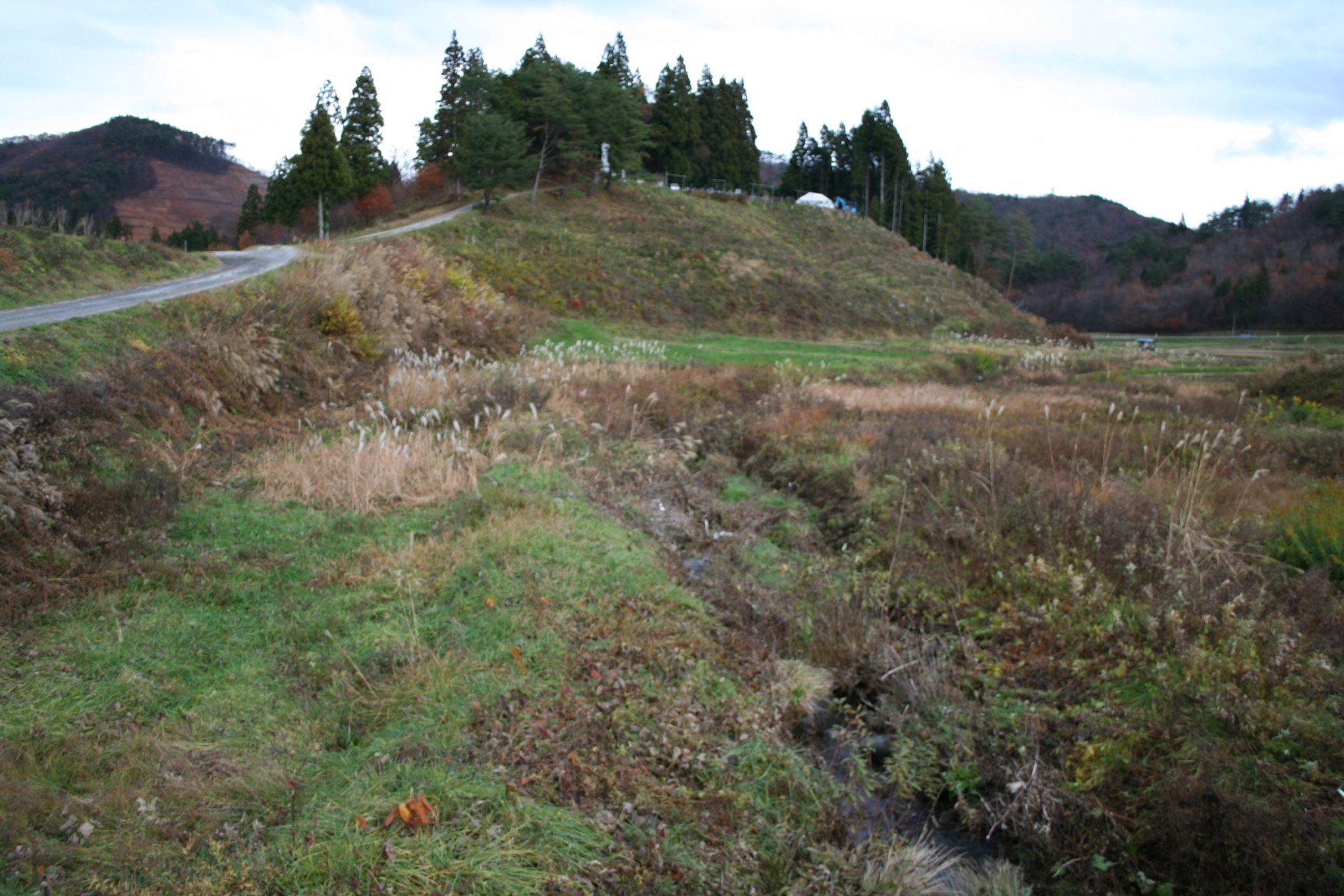 中川の左手の小高い丘が屋敷跡と言われている