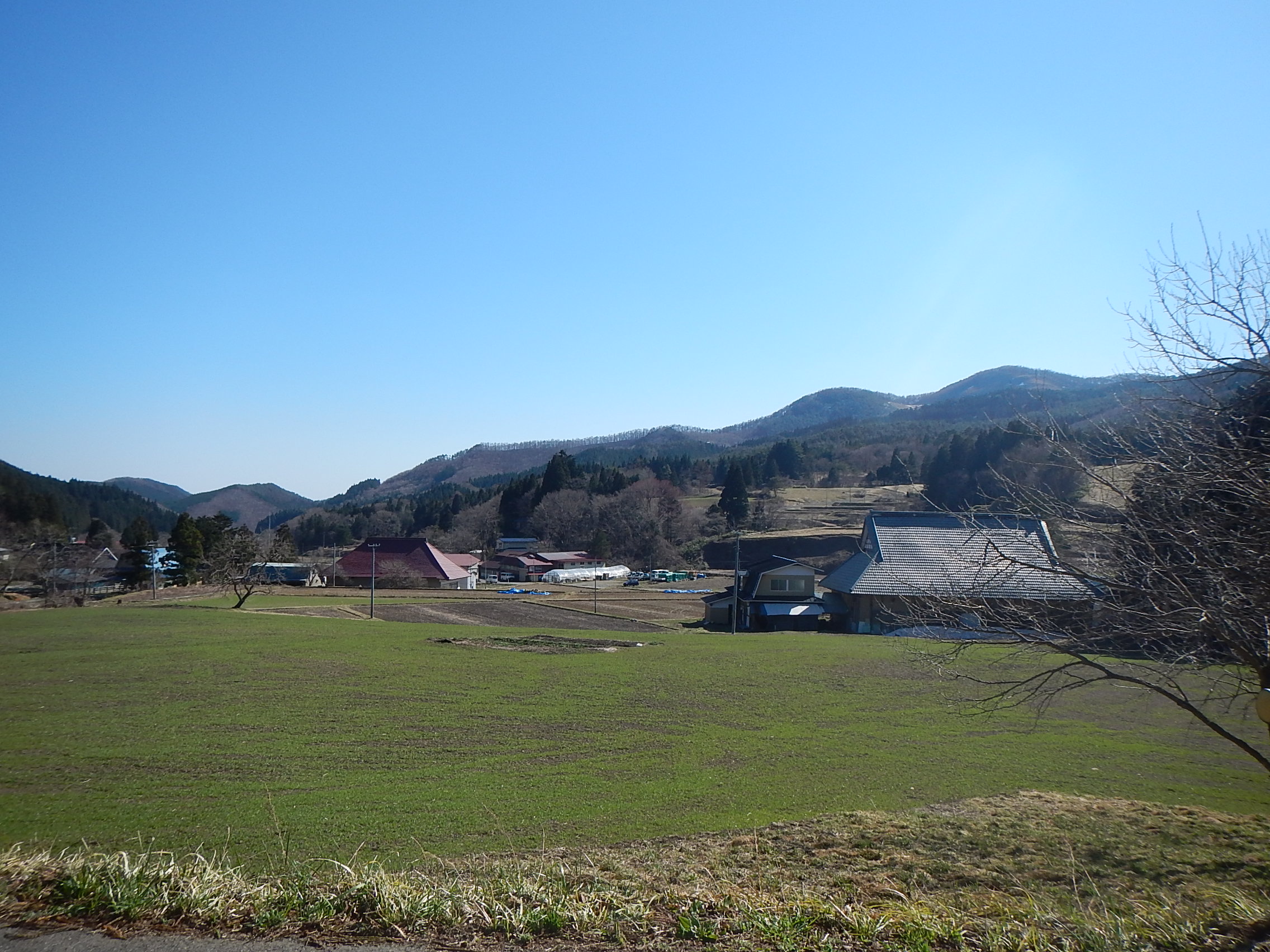 京津畑