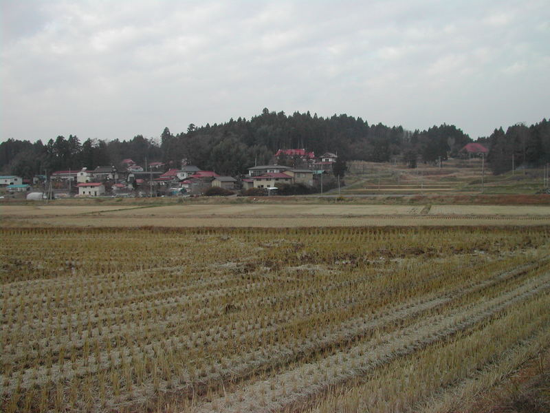 熊野倉館の遠景　（熊野神創龍蔵権現」とされる場所から）