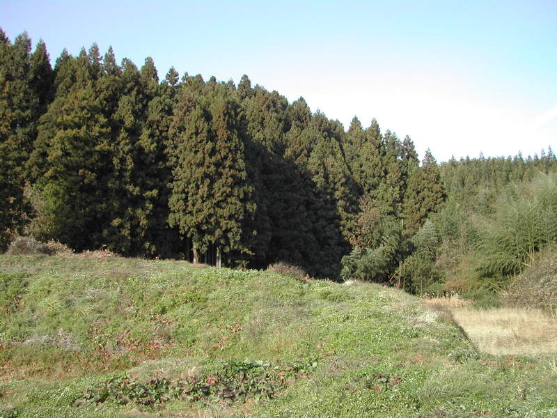 県道から見た「馬骨清水」　杉山の下にある。