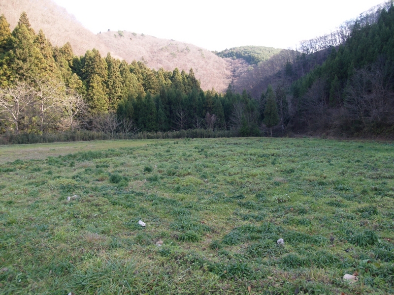 南側から見た皇徳寺の廃寺跡地で、現在は休耕田になっています。