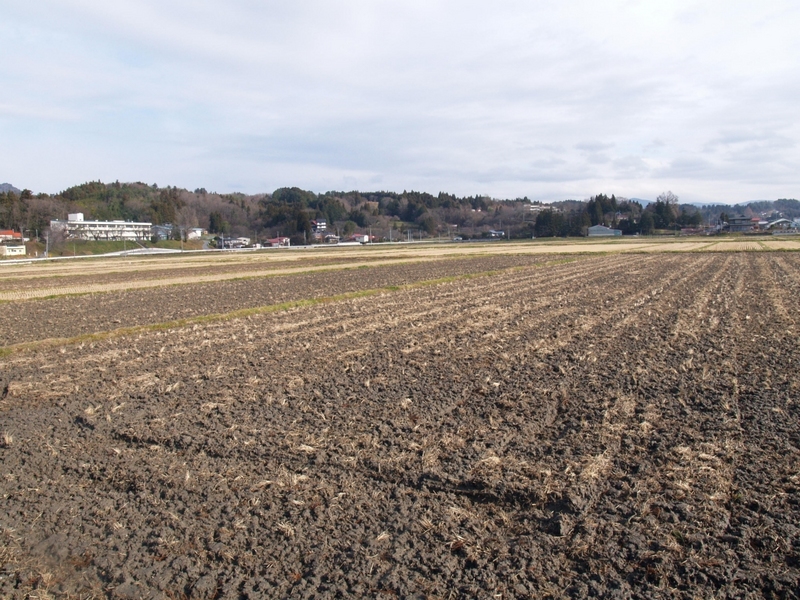 西南の方角から見た古戦場跡の中田です。