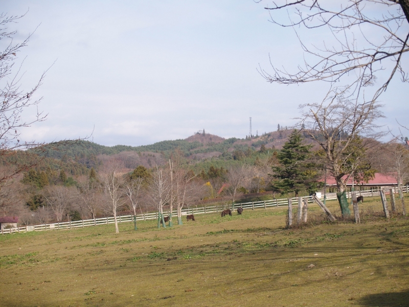 中央の一番高い山がアーク牧場から見た献上山です。