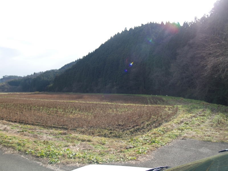 この田圃の地名が「脇谷」です。写真右手の山の地名が熊館です。