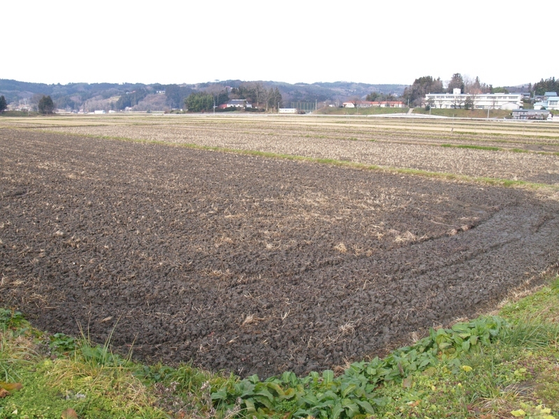 黄海の合戦跡の「中田」。写真右奥は、黄海小学校。