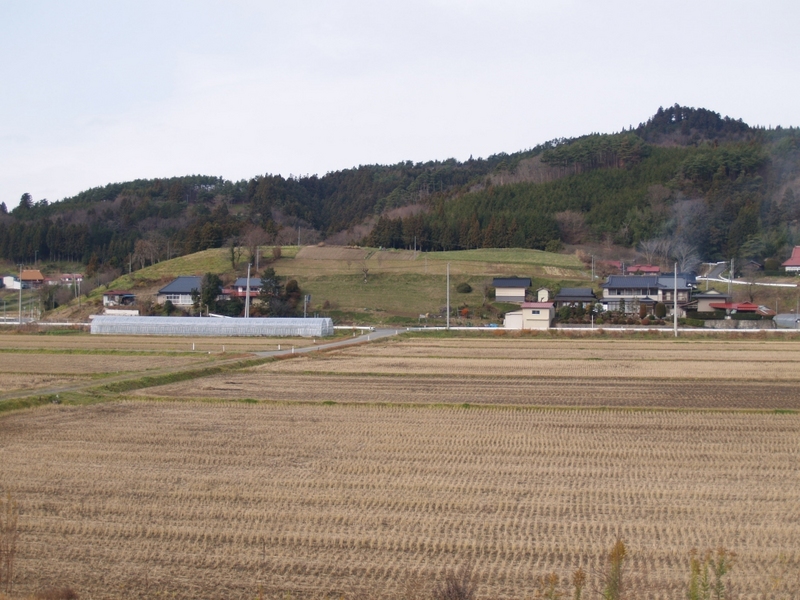 写真中央の小さな丘が「しだ森」