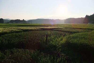 絶え間ない日々の営みと自然が織りなす農村の原風景