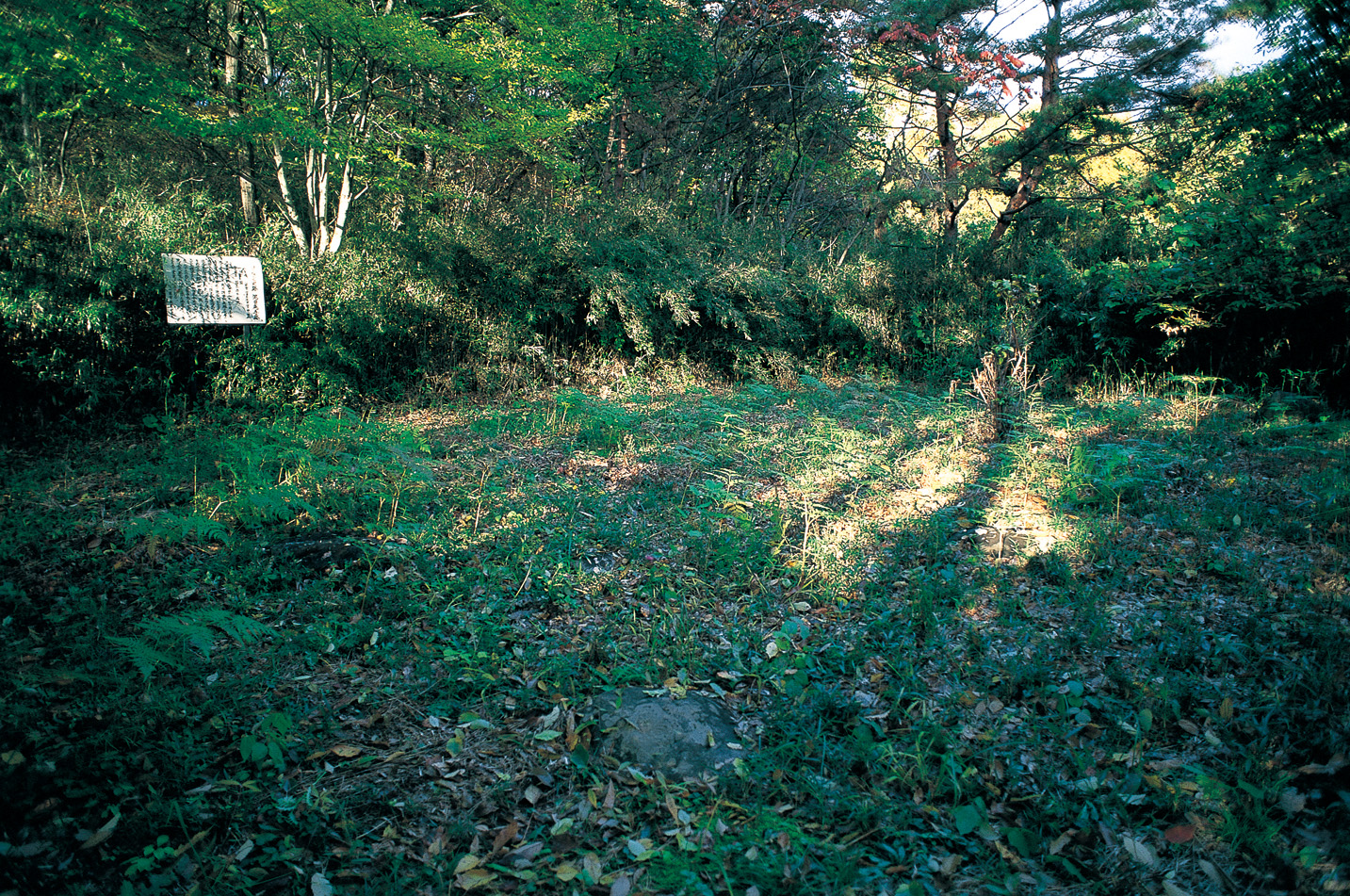 県指定史跡 　泥田廃寺跡