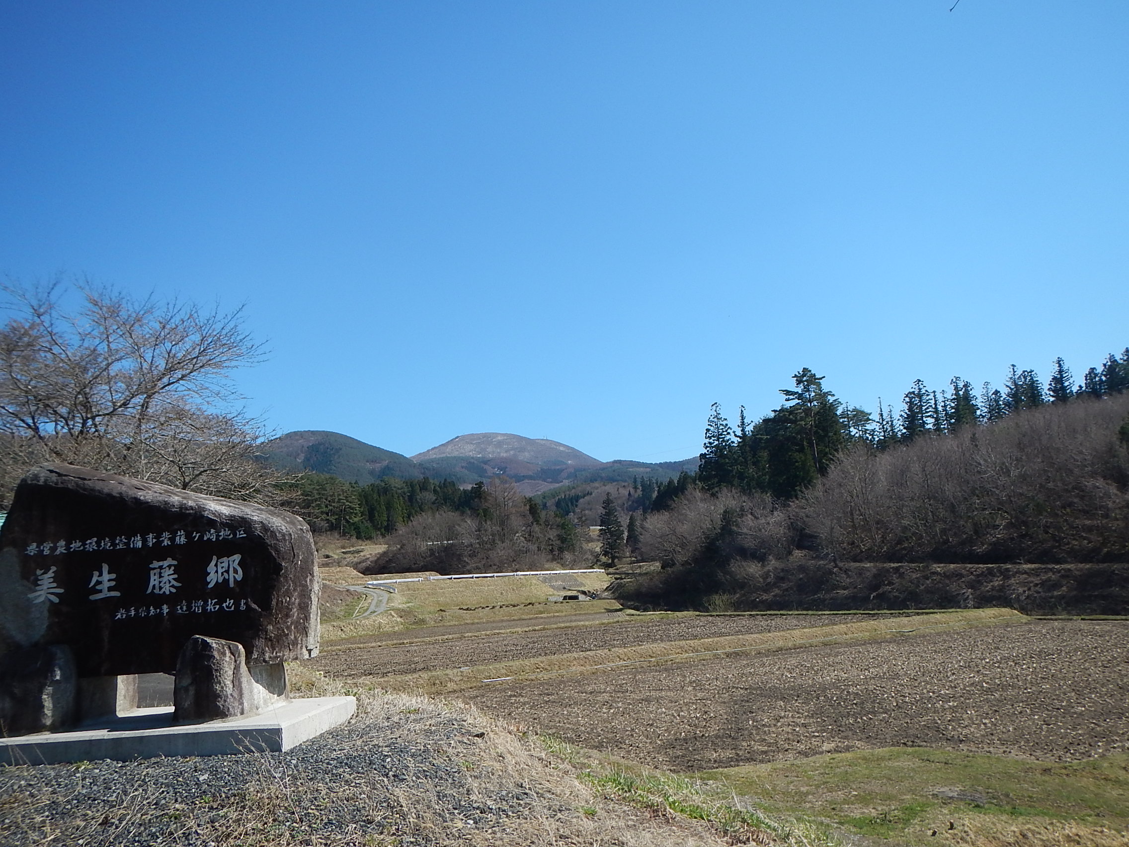 藤ヶ崎