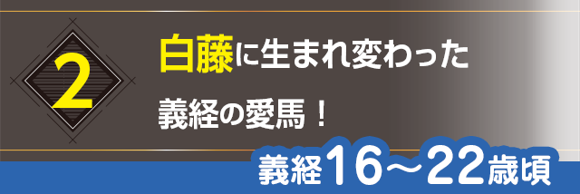 2.白藤に生まれ変わった義経の愛馬！（義経16〜22歳頃）